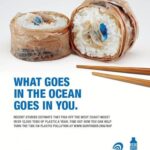 Plastic Sushi
